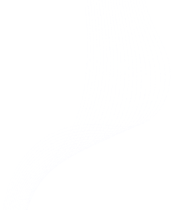 wing shape